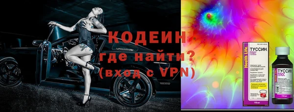 сатива Туринск