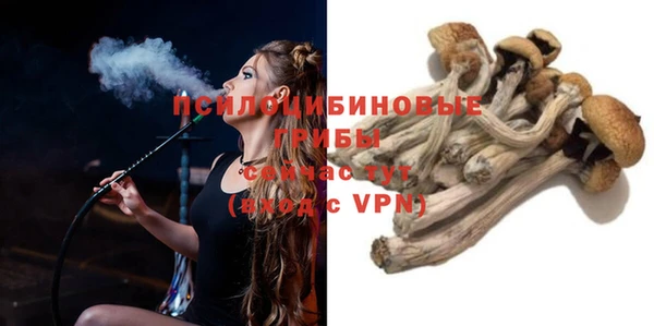 не бодяженный Тутаев