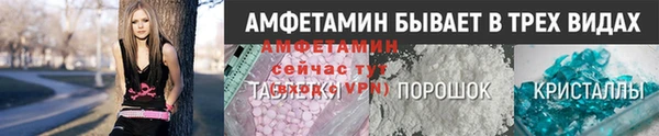 сатива Туринск