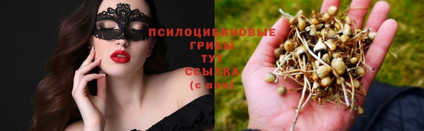 apvp Тында