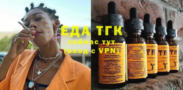 сатива Туринск