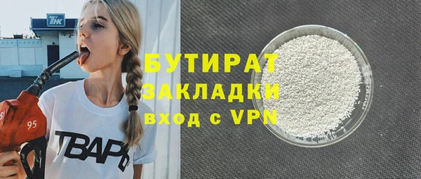 сатива Туринск
