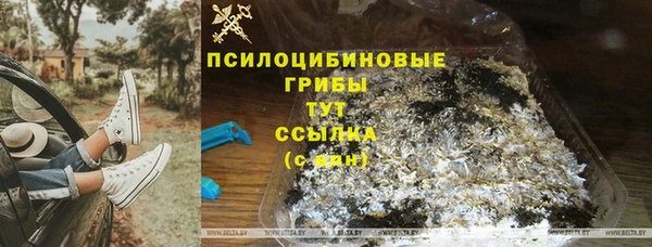 apvp Тында