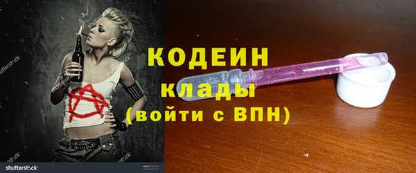 сатива Туринск