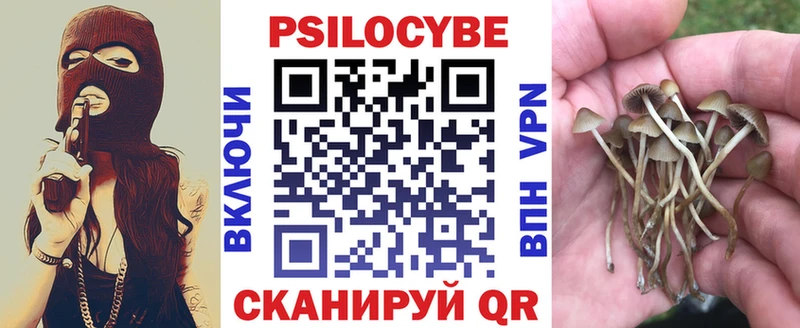 Галлюциногенные грибы Psilocybine cubensis  blacksprut рабочий сайт  Буйнакск 