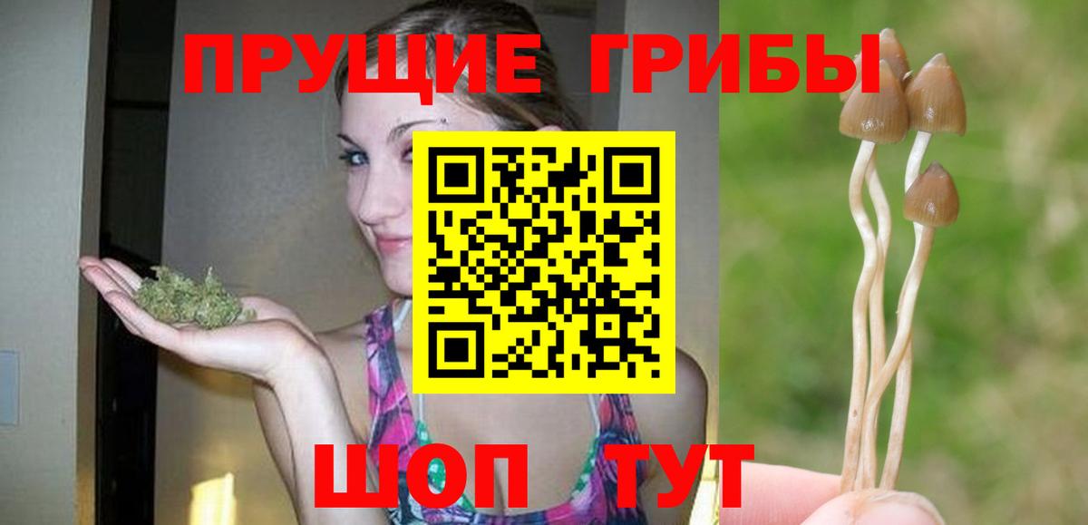Галлюциногенные грибы Psilocybine cubensis  Псилоцибиновые грибы мицелий  Буйнакск  Вход с VPN 