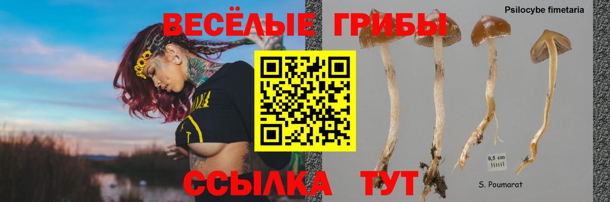Галлюциногенные грибы ЛСД Буйнакск