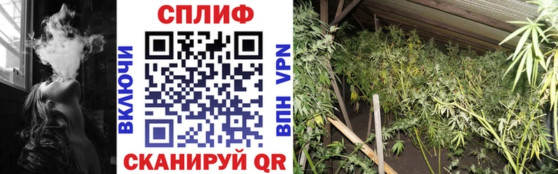 где найти наркотики  Буйнакск  blacksprut ССЫЛКА  Каннабис марихуана 